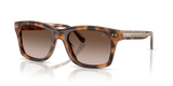 Havana / Gradient Brown (608913)