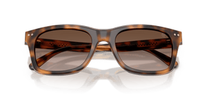 Havana / Gradient Brown (608913)