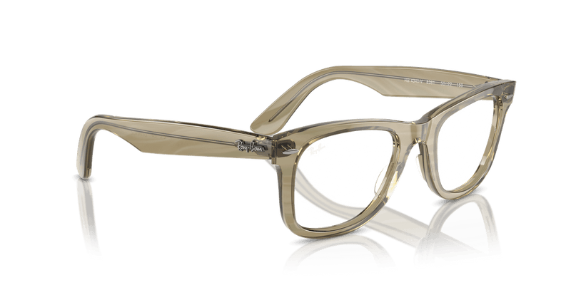 Ray-Ban WAYFARER EASE RX4340V in Photo Striped Grey / Clear - Alternate View
