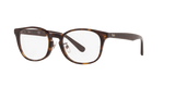 Dark Havana / Clear