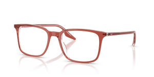 Brown Transparent / Clear