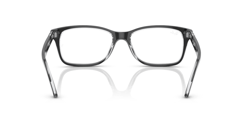 Ray-Ban RX5428 in Black On Transparent / Clear - Alternate View