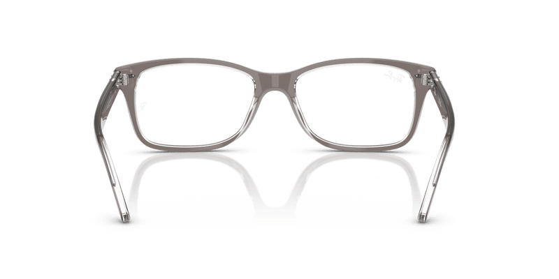 Ray-Ban RX5428 in Transparent Grey / Clear - Back View