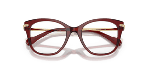 Transparent Burgundy (1073)
