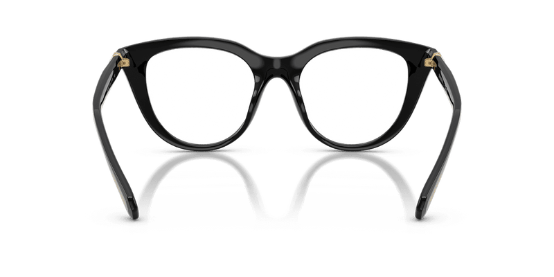 Swarovski SK2052 in Black (1001) - Alternate View