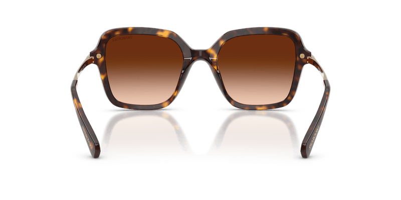 Swarovski SK6040 in Havana / Gradient Brown (100274) - Alternate View