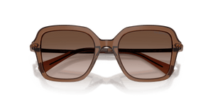 Transparent Brown / Brown Gradient (106713)