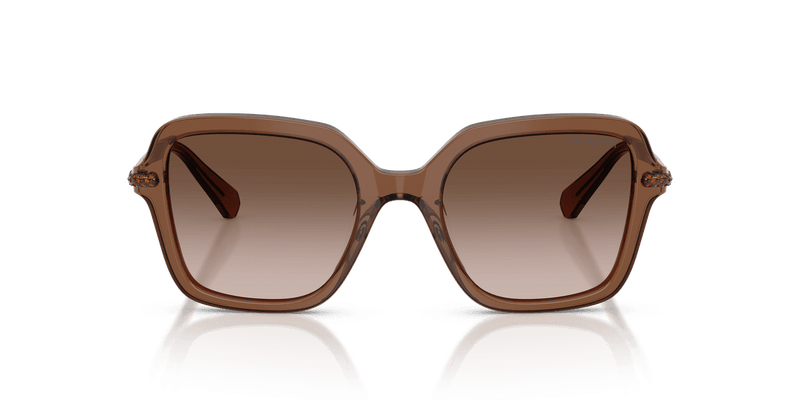 Swarovski SK6040 in Transparent Brown / Brown Gradient (106713) - Alternate View