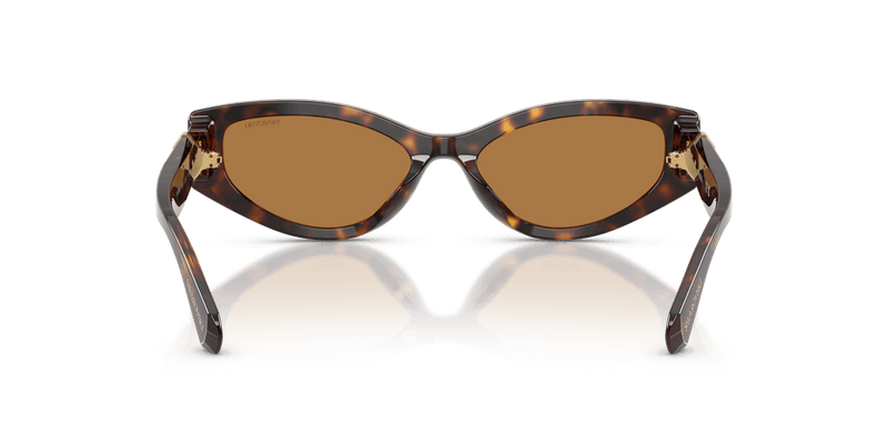 Swarovski SK6045U in Havana / Bronze (100273) - Alternate View