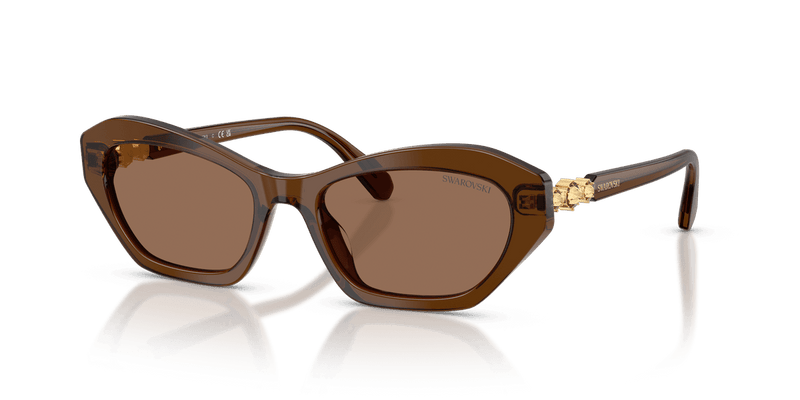 Swarovski SK6048 in Transparent Brown / Dark Brown (108473) - Alternate View