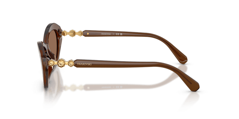 Swarovski SK6048 in Transparent Brown / Dark Brown (108473) - Alternate View