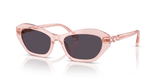 Transparent Pink / Pink Transition (1070P5)
