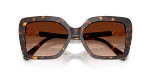 Havana / Gradient Brown (100274)