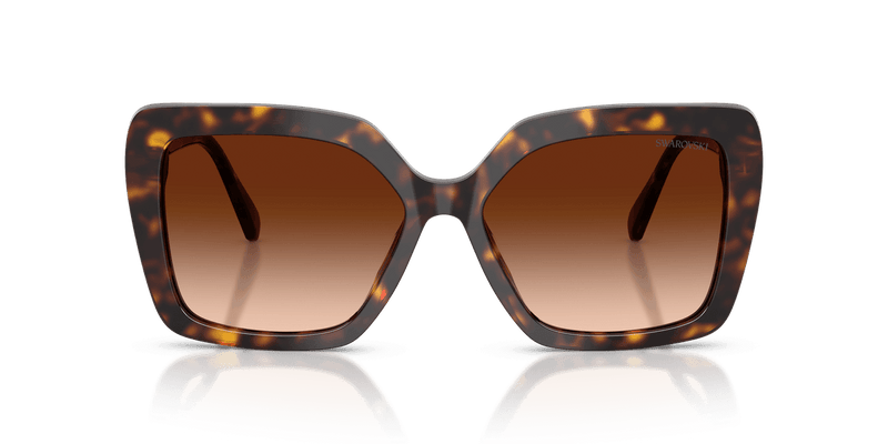 Swarovski SK6049 in Havana / Gradient Brown (100274) - Alternate View