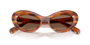 Striped Havana / Dark Brown (109173)