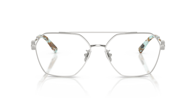 Tiffany & Co. TF1169 in Silver (6001) - Back View