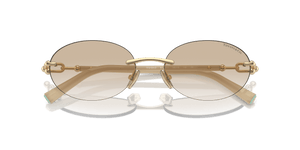 Pale Gold / Grey Gradient (617811)