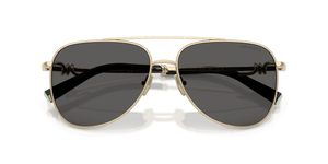 Pale Gold / Dark Grey (6021S4)