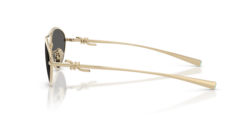 Tiffany & Co. TF3117 in Pale Gold / Dark Grey (6021S4) - Temple Detail