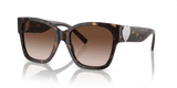 Havana / Brown Gradient (80153B)