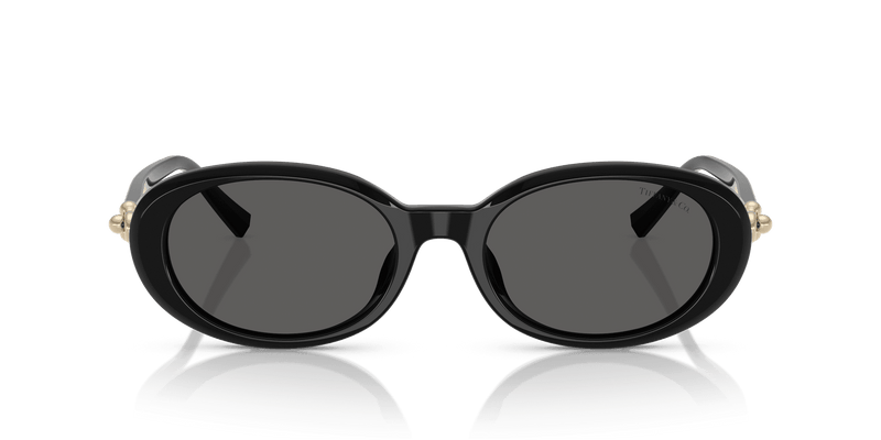 Tiffany & Co. TF4242D in Black / Dark Grey (8361S4) - Back View