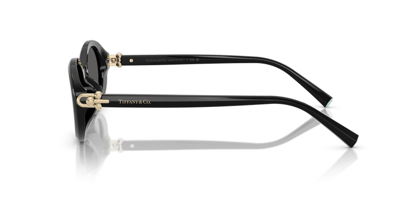 Tiffany & Co. TF4242D in Black / Dark Grey (8361S4) - Temple Detail