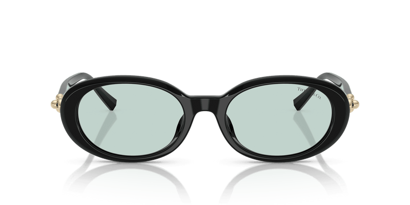 Tiffany & Co. TF4242D in Black / Light Azure (8001D9) - Alternate View