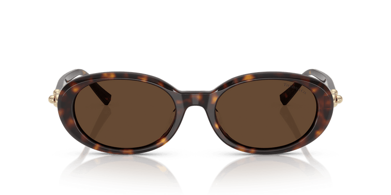 Tiffany & Co. TF4242D in Havana / Light Brown (80153G) - Alternate View