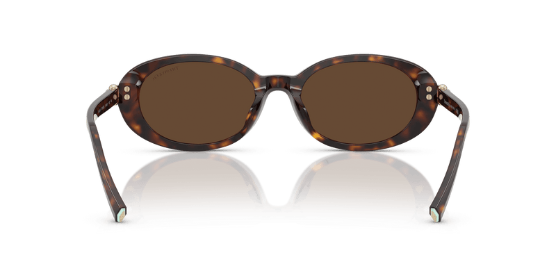 Tiffany & Co. TF4242D in Havana / Light Brown (80153G) - Alternate View