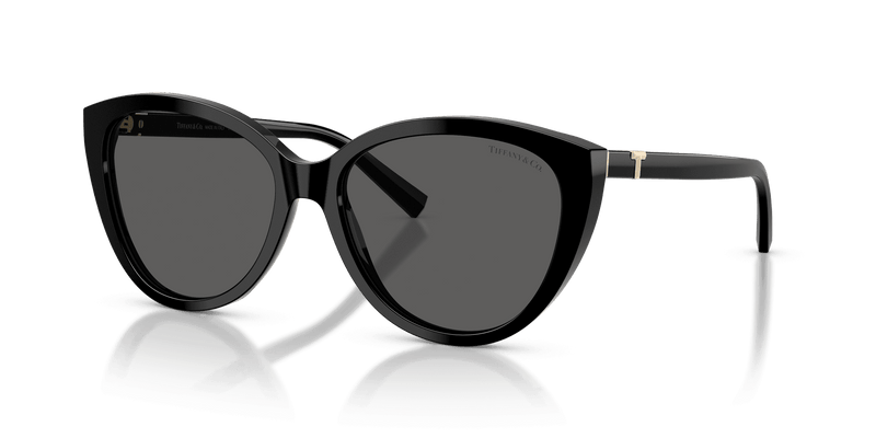Tiffany & Co. TF4251 in Black / Dark Grey (8001S4) - Front View