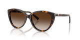 Havana / Brown Gradient (80153B)
