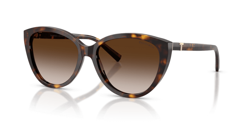 Tiffany & Co. TF4251 in Havana / Brown Gradient (80153B) - Alternate View