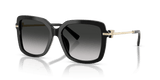 Black / Grey Gradient (80013C)