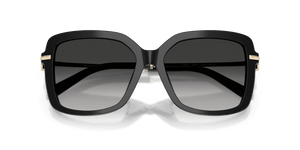 Black / Grey Gradient (80013C)
