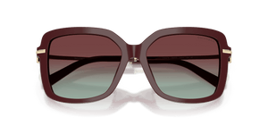 Burgundy / Azure/Burgundy (8389V5)