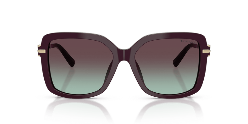 Tiffany & Co. TF4252B in Deep Kunzite / Azure/Violet (8427V7) - Alternate View
