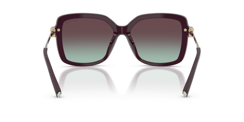 Tiffany & Co. TF4252B in Deep Kunzite / Azure/Violet (8427V7) - Alternate View