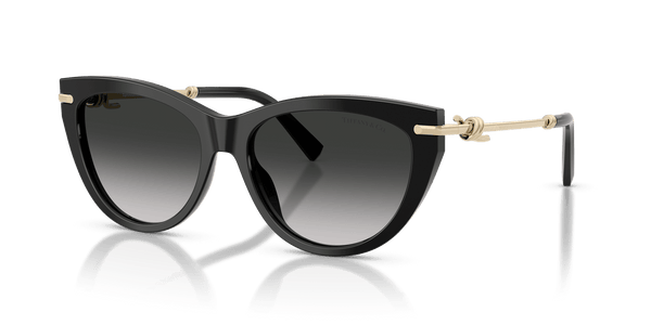 Tiffany & Co. TF4253