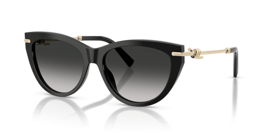Tiffany & Co. TF4253 - Black / Grey Gradient (80013C)