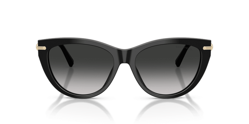 Tiffany & Co. TF4253 in Black / Grey Gradient (80013C) - Back View