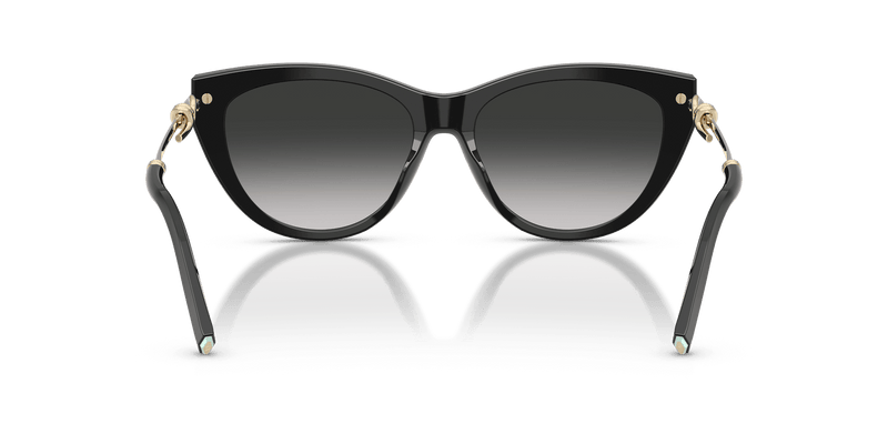 Tiffany & Co. TF4253 in Black / Grey Gradient (80013C) - Alternate View
