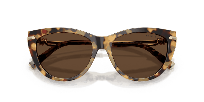 Tiffany & Co. TF4253 in Blonde Havana / Light Brown (80643G) - Alternate View