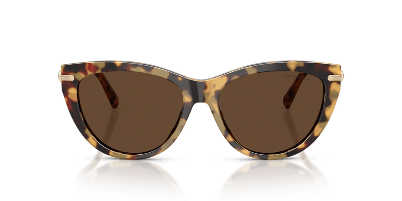 Tiffany & Co. TF4253 in Blonde Havana / Light Brown (80643G) - Alternate View