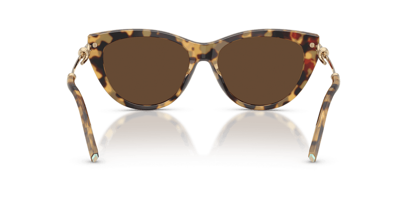 Tiffany & Co. TF4253 in Blonde Havana / Light Brown (80643G) - Alternate View