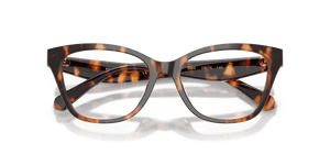 Contrast Tortoise (2066)