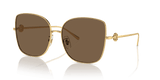 Shiny Gold / Dark Brown (334373)