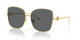 Shiny Gold / Dark Grey (334387)