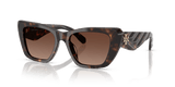 Dark Tortoise / Brown Polar (1964T5)