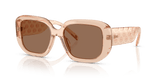 Brown / Brown (195473)