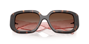 Dark Tortoise / Gradient Brown (196413)
